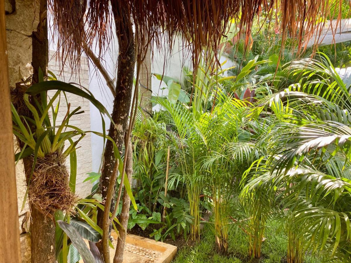 Luxury Private Villas , Private Pool, Private Garden, Jacuzzi, 24Hours Security トゥルム エクステリア 写真
