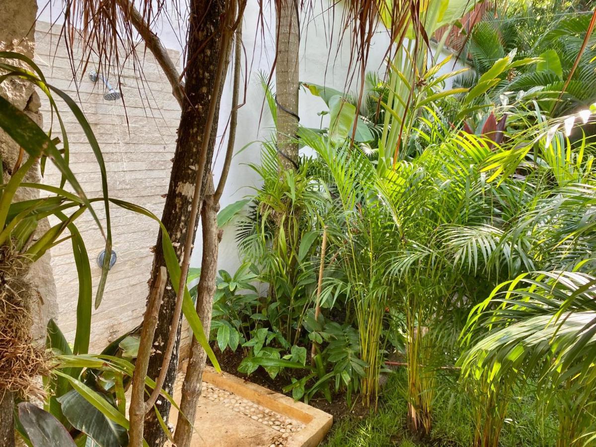 Luxury Private Villas , Private Pool, Private Garden, Jacuzzi, 24Hours Security トゥルム エクステリア 写真