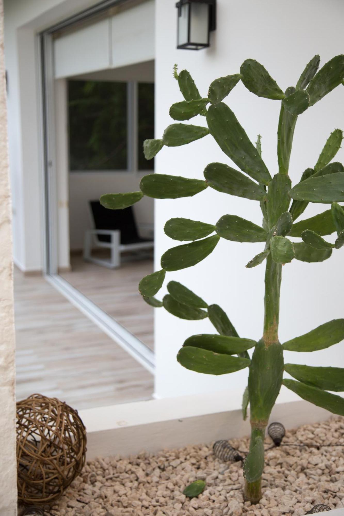 Luxury Private Villas , Private Pool, Private Garden, Jacuzzi, 24Hours Security トゥルム 部屋 写真